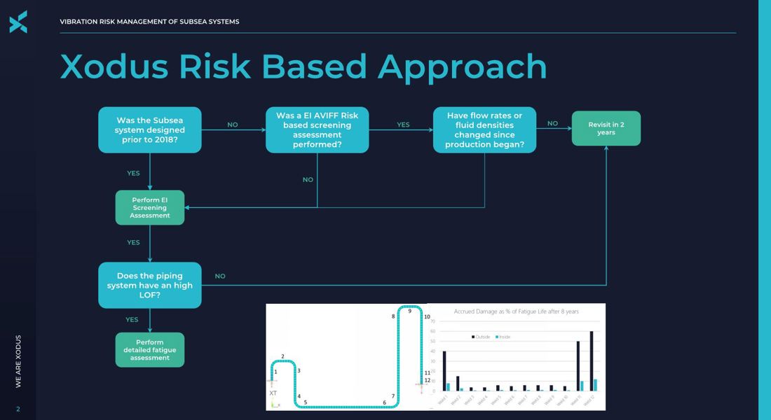 Vibration Risk Management of Subsea Systems