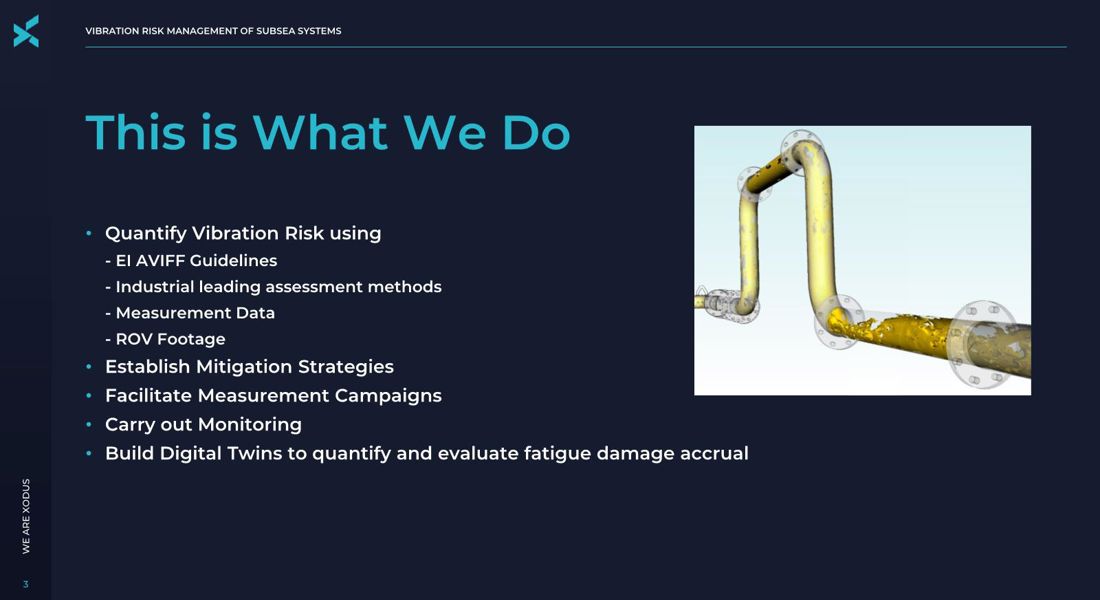 Vibration Risk Management of Subsea Systems